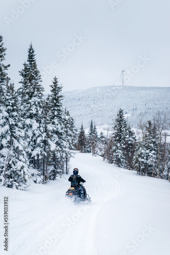Snowmobile in a forest covered by snow in winter