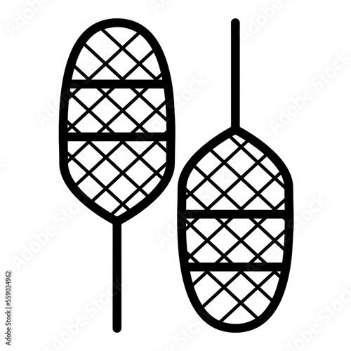 Snow shoes