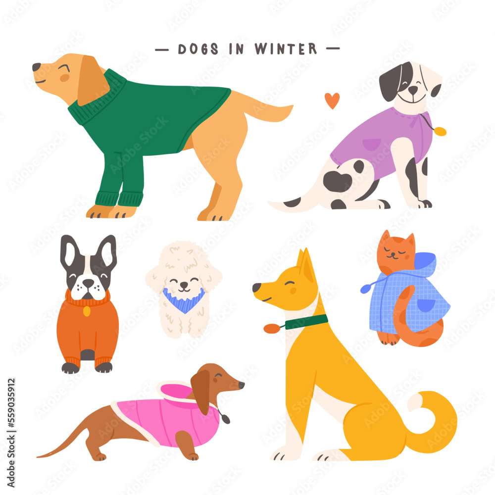 Set of various cute dogs and a cat wearing colorful winter outfits. Hand drawn cartoon animals vector illustration.