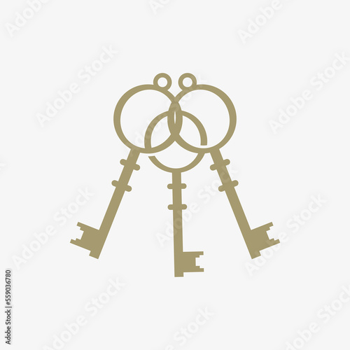 Medieval vintage lock inspiration design vector illustration, three interlocking locks.
