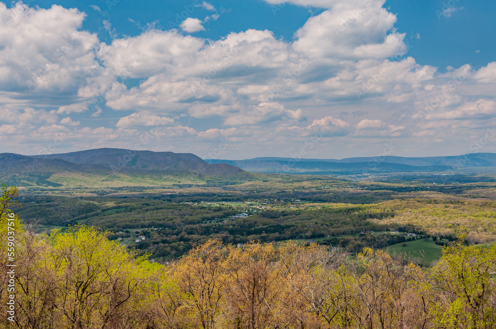 Re-Birth of the Landscape, Shenandoah National Park Virginia USA, Virginia
