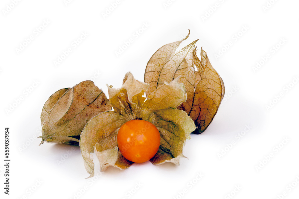 Closeup of winter cherry or Physalis isolated on white background