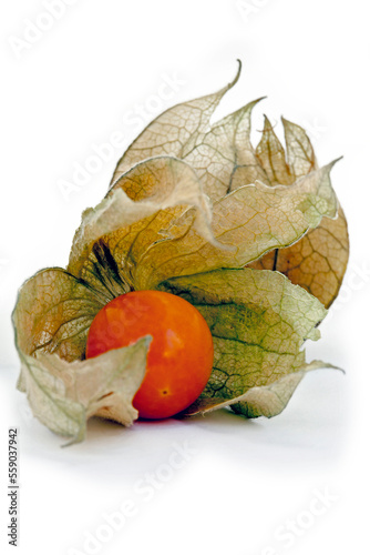 Closeup of winter cherry or Physalis isolated on white background photo