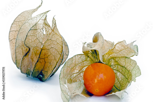 Closeup of winter cherry or Physalis isolated on white background photo