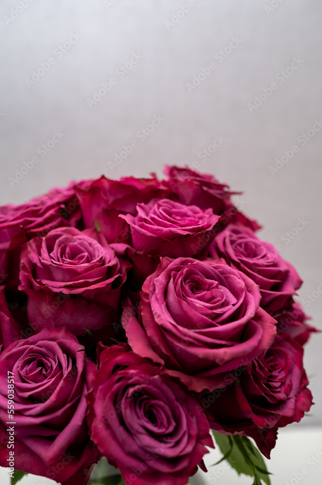 Fototapeta premium bouquet of blueberry roses