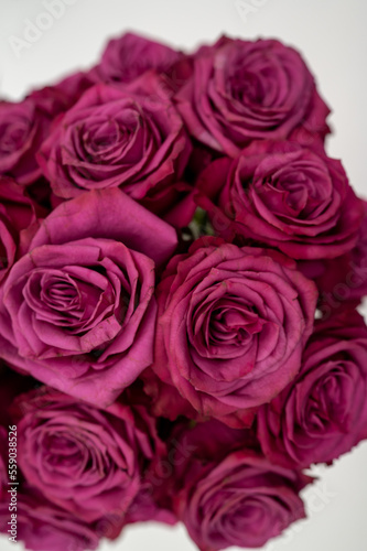 closeup of a bunch of purple pink roses