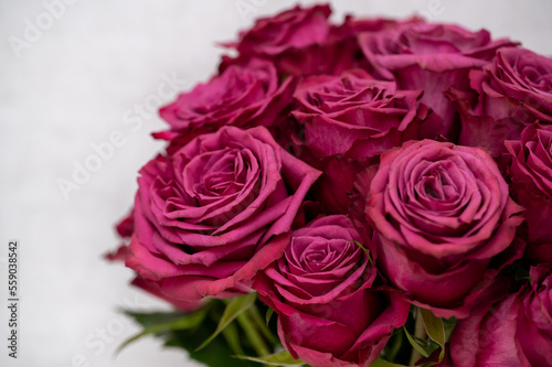 Bouquet of purple roses 
