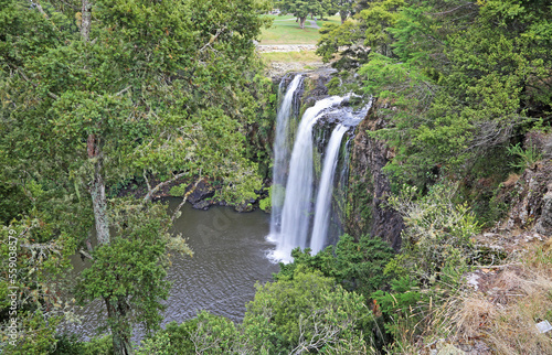 Whangarei Falls between trees - New Zealand