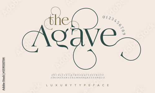 Agave abstract luxury fashion font alphabet. Typography swirl typeface uppercase lowercase and number. vector illustration