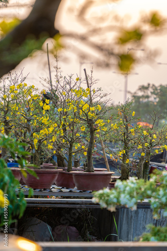 HOCHIMINH CITY, VIETNAM - JANUARY 29, 2022: Evening at Flower market on Tet holiday 