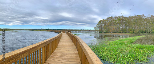 Wooden pedestrian boardwalk over lakes and the marsh at Orlando Wetlands Park  photo