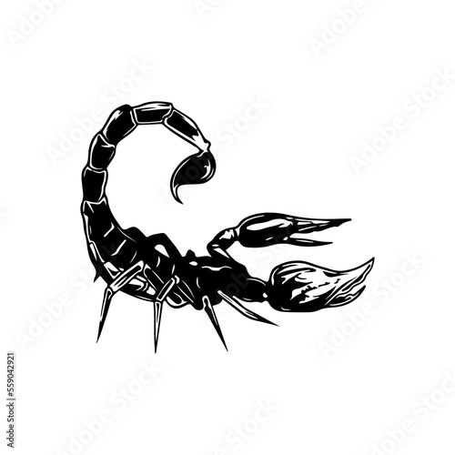 black scorpion vector illustration concept