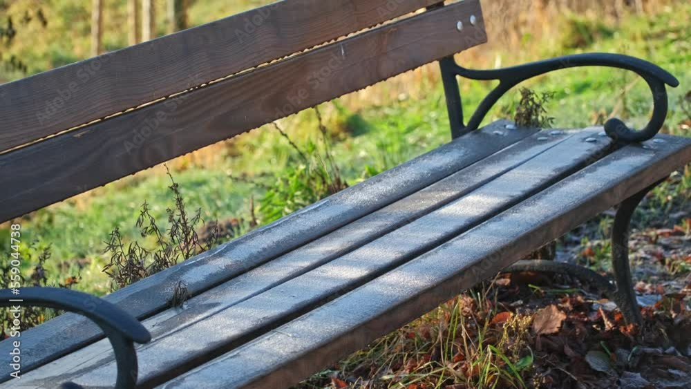 Wooden Park Bench Covered in Hoarfrost Rime Ice on Cold Morning
Wooden Park Bench Covered in Hoarfrost Rime Ice on Cold Morning