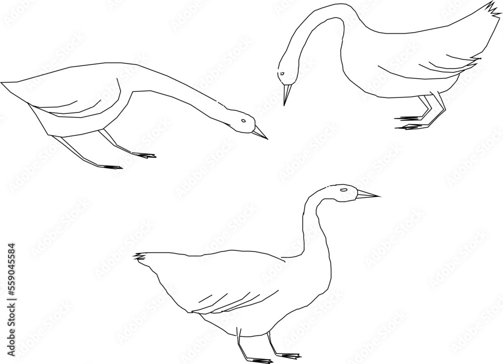 simple cute goose bird character logo illustration vector sketch for coloring simple cute goose bird character logo illustration vector sketch for coloring