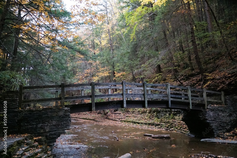 Obraz premium A wooden bridge with the background of fall foliage near Buttermilk Falls, Ithaca, New York