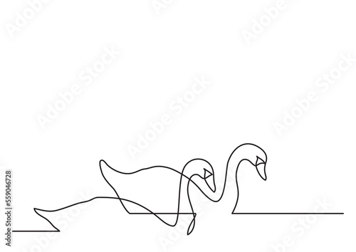 Photography continuous line drawing of bird PNG image with transparent background