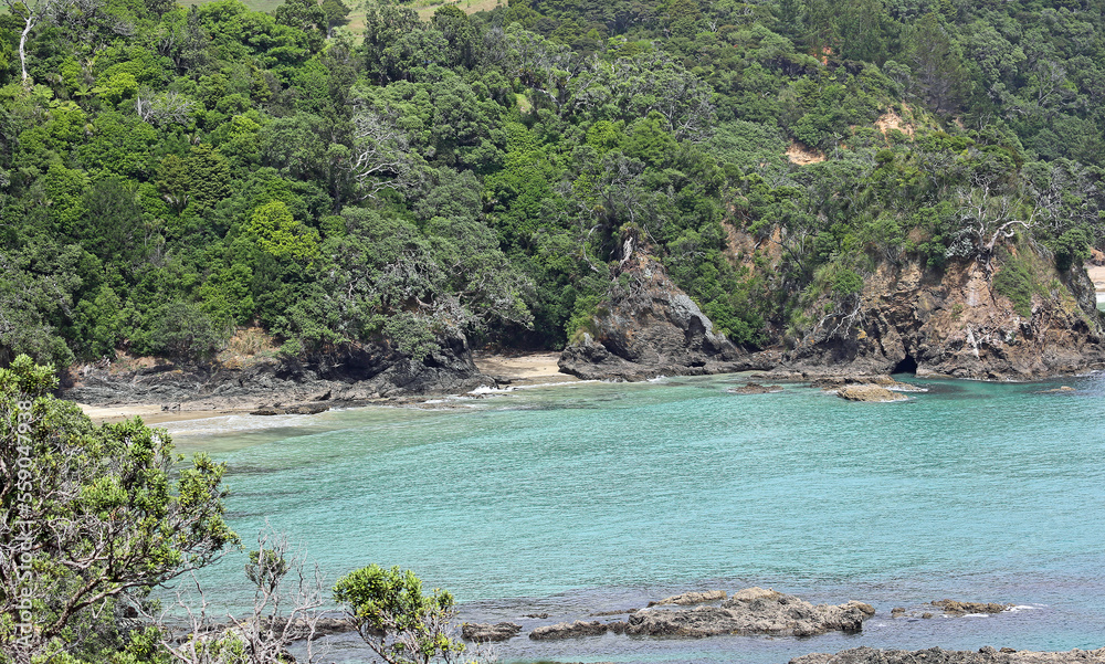 A beach hidden between volcanic cliffs - New Zealand
