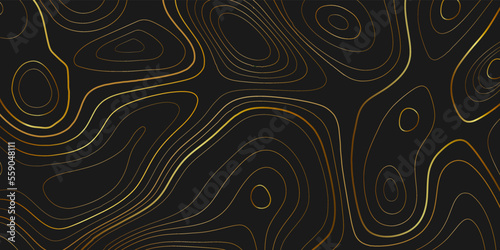 Topographic map lines background. Abstract vector illustration. Contour vector map. Golden topography lines on black background