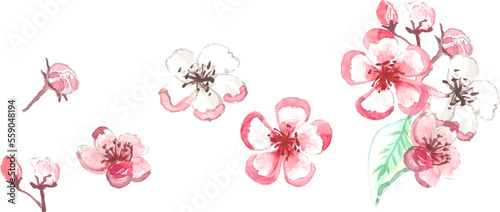 Free hand Sakura flower vector set, Beautiful line art Peach blossom isolate on white background.Branch of cherry blossom for printing on wallpapers and sticker.Japanese flower.Golden line art.