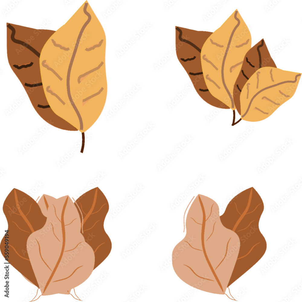 Fototapeta premium COLLECTION OF PICTURES OF TREE LEAVES