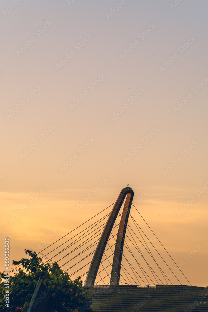 Obraz premium Ho Chi Minh City, Viet Nam 24 March 2022: Beautiful Sunset at Landmarks 81 Ho Chi Minh City, the tallest building in Vietnam, with Vietnam flag on the top building.