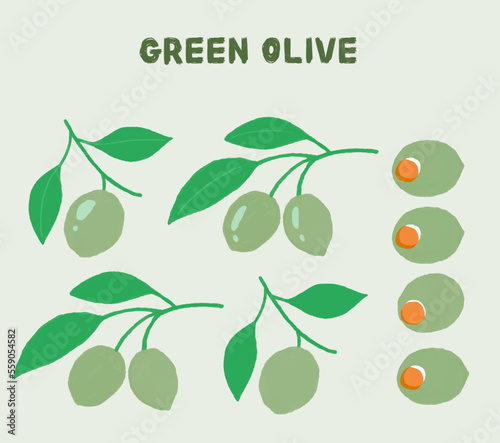 Green olives and leaves vector illustration on branch, easy to change color isolated from background