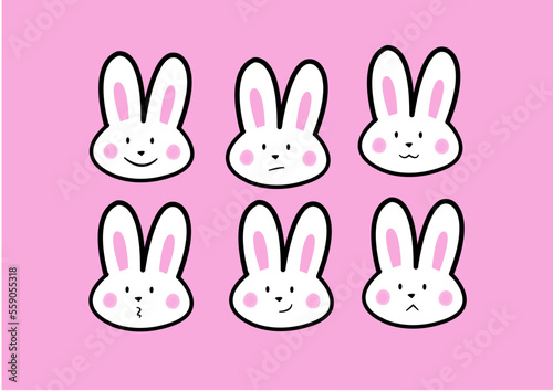 set of rabbits 