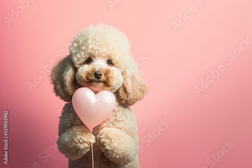 Smiling poodle puppy holding a pink heart shaped balloon  for Valentine Day or birthday. Generative AI. © Pixel Cat
