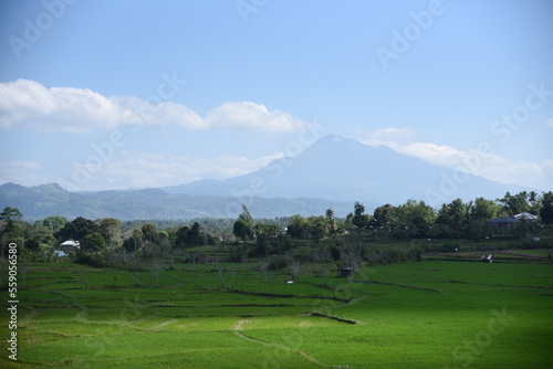 views of the rice fields and mountains of Seulawah in Aceh Besar