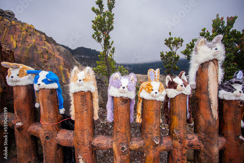 Hats shaped like cute animal heads, souvenirs for tourists in the tourist area of Mount Tangkuban Parahu in Bandung, Indonesia. This product is the result of local small and medium industries.