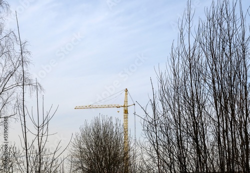 Photography A large yellow tall construction crane with a long boom for moving construction loads stands above the trees