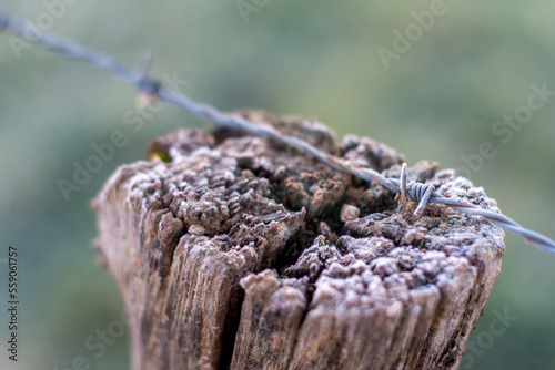 Artistic picture of a frozen wooden stake in winter with a barbed wire fence. Sainte Marie la Blanche, Burgundy, France.
