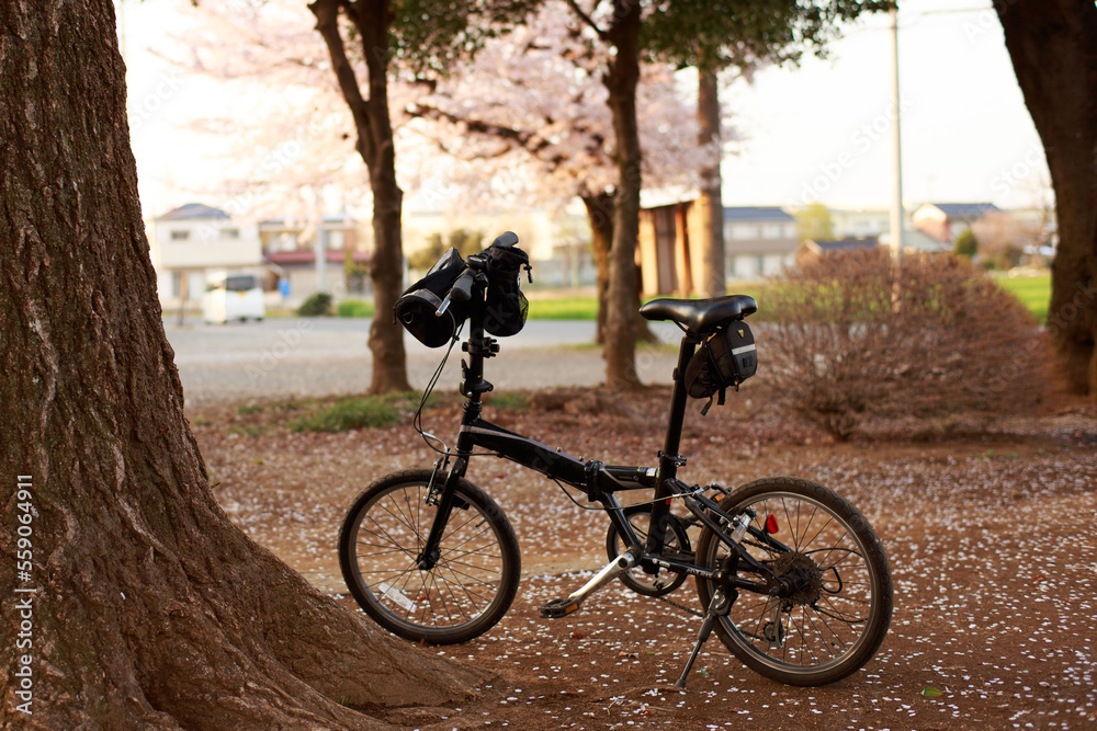 Fototapeta premium 自転車