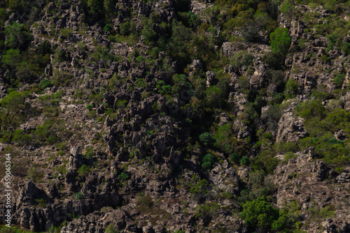 Kakadu National Park, Northern Territory, Australia. Aerial view of Arnham land.  © Grantat