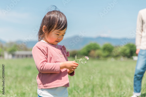 公園・草原で野花を摘んでおままごとをして遊ぶ女の子（子ども・幼児）
