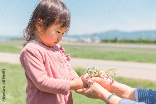 Konstfotografi おばあちゃんに花を渡すアジア人の子供（幼児・笑顔）