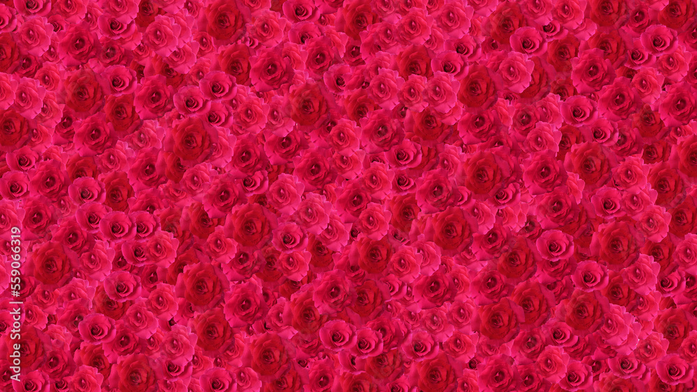 red rose pink for valentine day or wedding background red rose pink for valentine day or wedding background