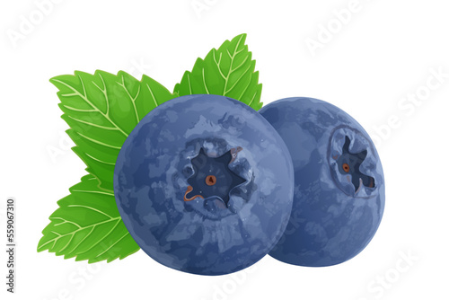 Wild blueberry berries with green leaves. Ripe fruits ingredient for healthy eating. Isolated on white background. Eps10 vector illustration.