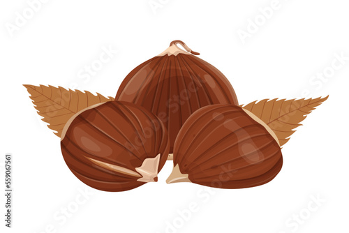 Chestnut vector icon.Cartoon vector icon isolated on white background chestnut.