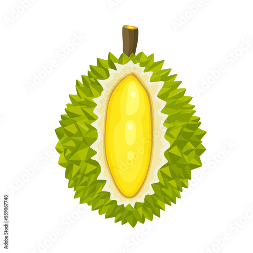 Summer tropical fruits for healthy lifestyle. Durian fruit. Vector illustration cartoon flat icon isolated on white.