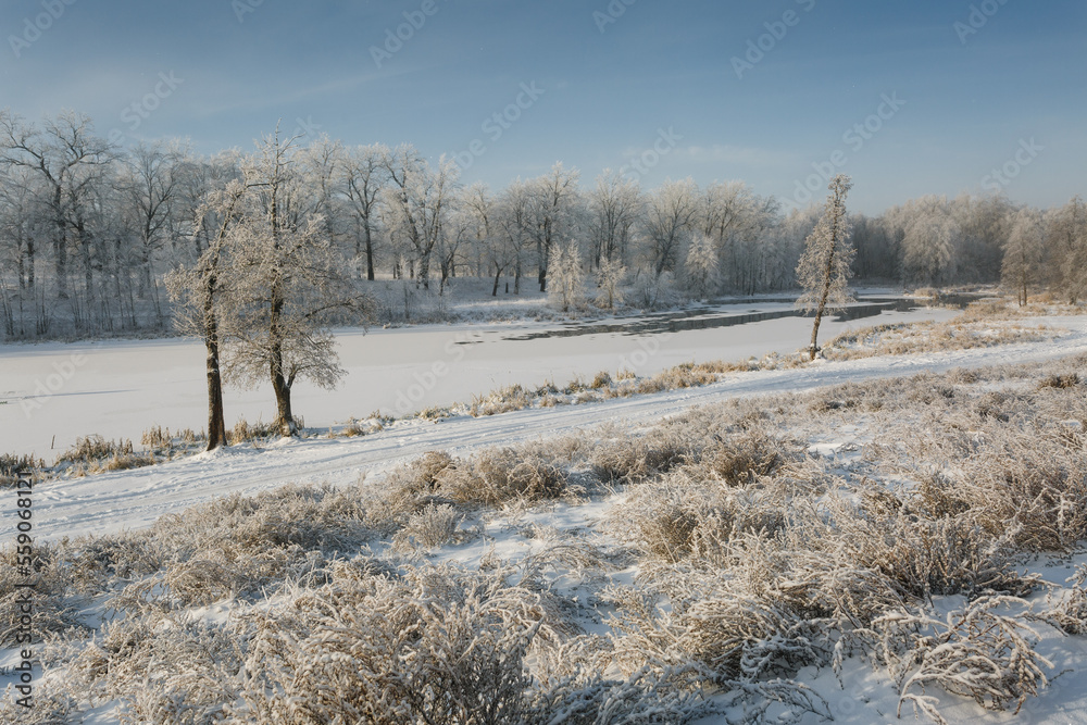 winter river, trees in the snow, view of the snow-covered forest winter river, trees in the snow, view of the snow-covered forest