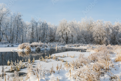 winter river, trees in the snow, view of the snow-covered forest © Михаил Корнилов