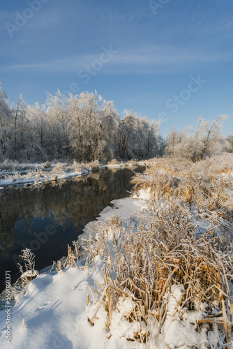winter river, trees in the snow, view of the snow-covered forest © Михаил Корнилов