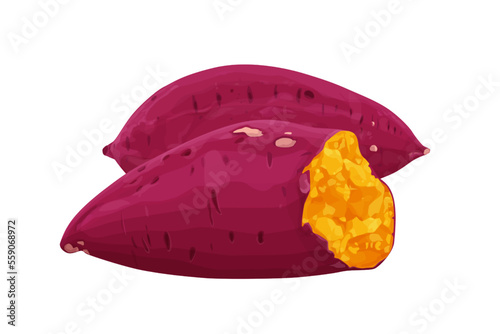 Illustration of whole sweet potato and sweet potato cut in half A smoked yamVector eps 10.
