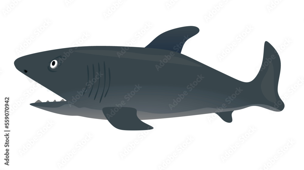 Fototapeta premium Big grey fish. vector illustration