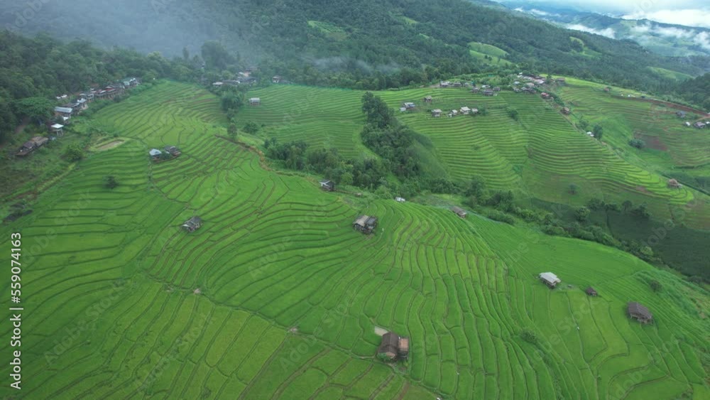 Aerial view of agriculture in rice terrace Aerial view of agriculture in rice terrace