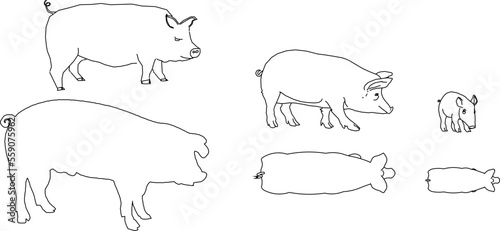 collection of simple pig silhouette illustration vector sketches for coloring kids