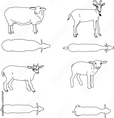 collection of vector sketches of goat silhouette illustrations for coloring children