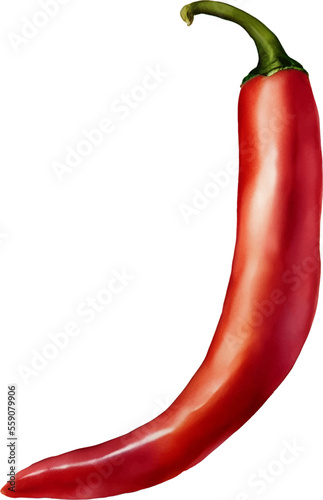 Fresh Red Hot Chili Hand Drawn Watercolor Painting