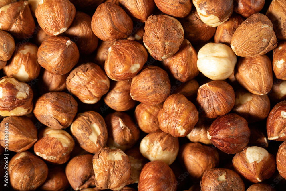 Fresh hazelnut nuts on dark background. Many delicious nuts as background. Studio shoot. Top view Fresh hazelnut nuts on dark background. Many delicious nuts as background. Studio shoot. Top view